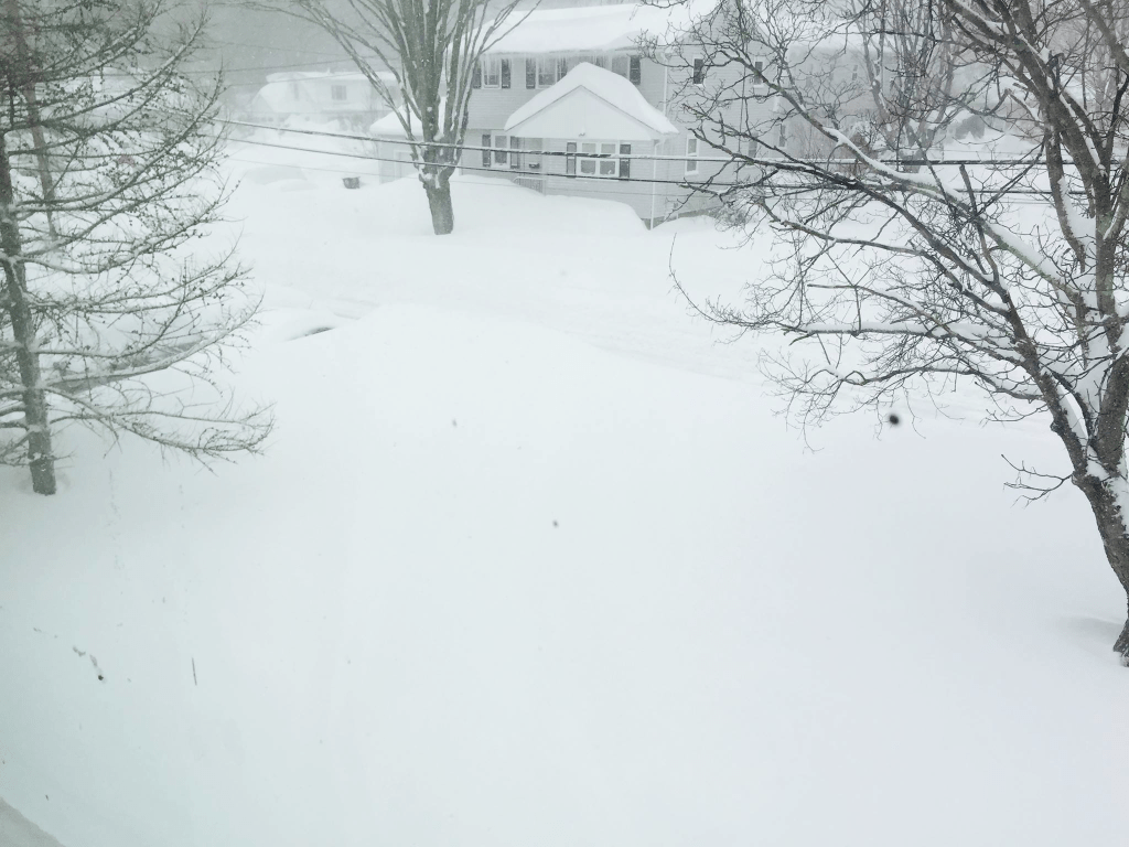 Surviving Boston’s Worst Snow&nbsp;Season